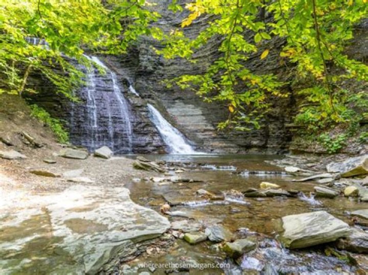 Discover Kyle Jones Water Valley: A Hidden Gem In Mississippi