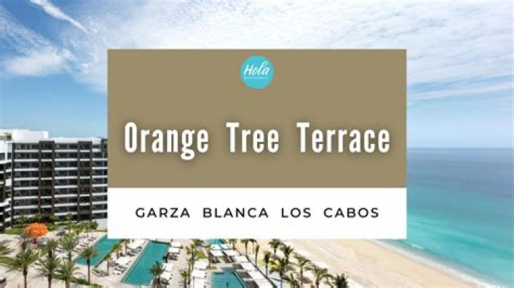 Discover The Enchanting Oasis At Orange Tree Terrace