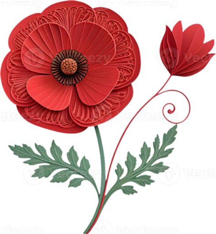 Elegant Poppy Flower Design: A Guide To Simplicity