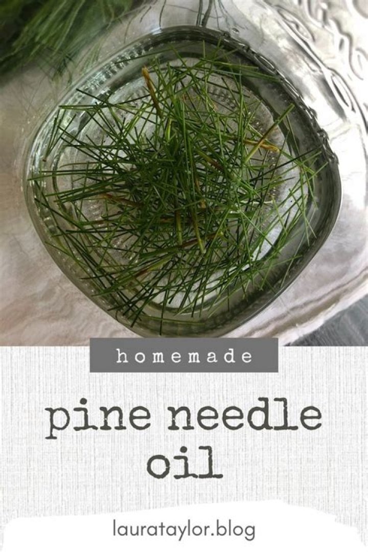 Essential Pine Needle Baler: Your Guide To Efficient Pine Needle Management