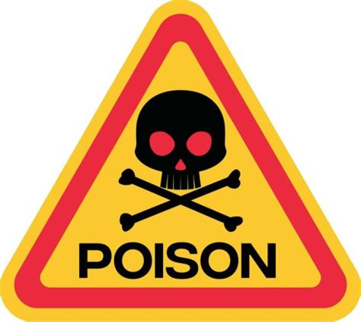 Find The Best Poison Symbol Clipart For Your Projects