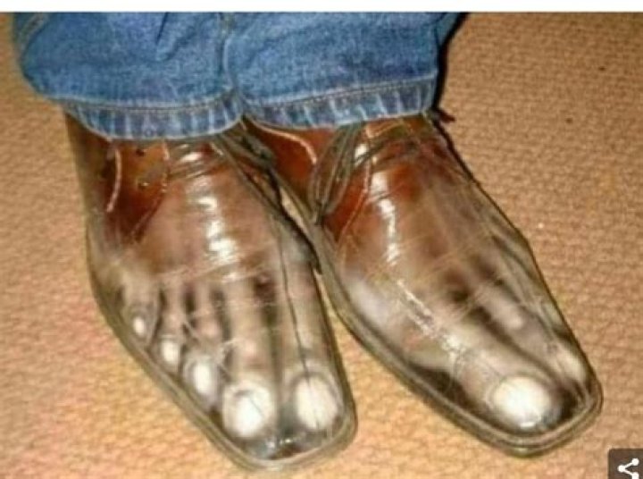 Hilarious Footwear: The Ultimate Meme Shoe Collection