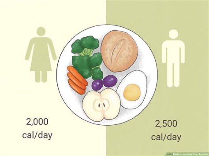 Re-ignite Your Appetite: The Ultimate Guide To Eating Again Post-Recovery