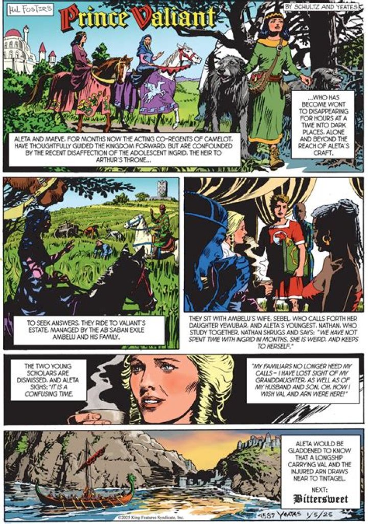 Treasured Masterpieces Of Prince Valiant Sunday