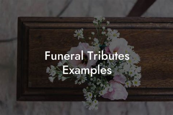 Tribute To Andrew Osting, Tributes & Obituary In Wisconsin