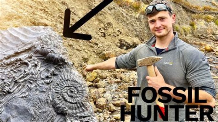 Uncover Ancient Treasures: Fossil Hunting Adventures In Alabama