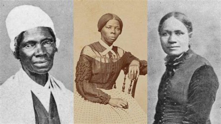 Uncovering The Dark Truth: Picnic As A Metaphor For Slavery