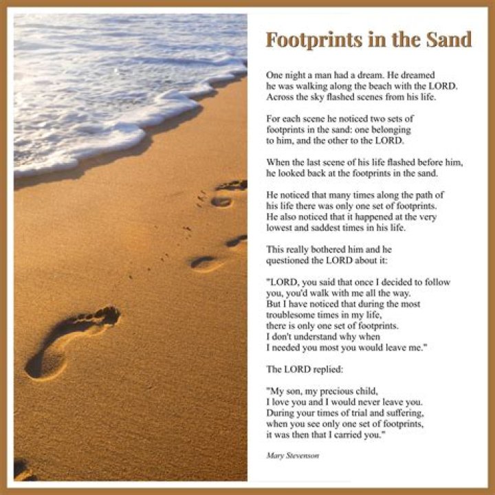 Unearthing The Footprints Of Time: A Journey Through History